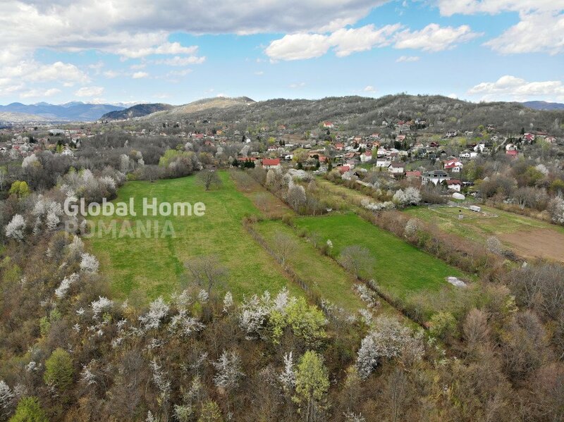 Jud. Prahova, Valea Prahovei, Mountain Plateau, 23.345 SQM, Exclusive Estate.