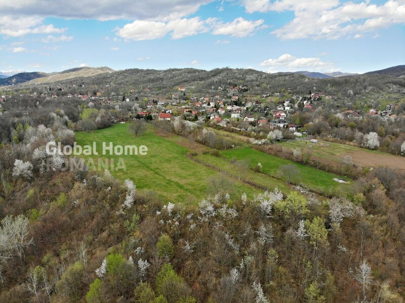 Valea Prahovei Mountain Plateau - 23.345 SQM - Exclusive Estate Jud Prahova